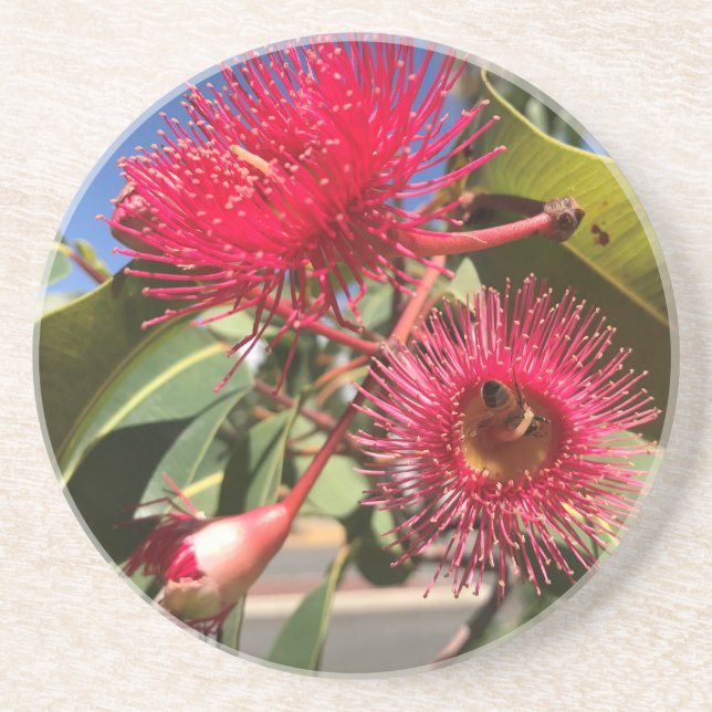 Honungsbin och eukalyptus Flowers Underlägg (Framsidan)