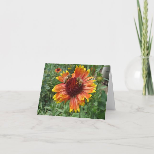 Honungsbin på Blanket Flower Kort (Framsida)