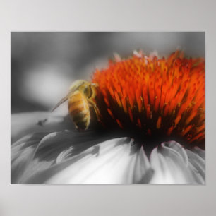 Honungsbin på blomman, delbar Färg Poster