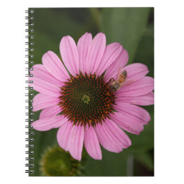 Honungsbin på Cone Flower Anteckningsbok