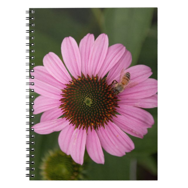 Honungsbin på Cone Flower Anteckningsbok (Framsidan)