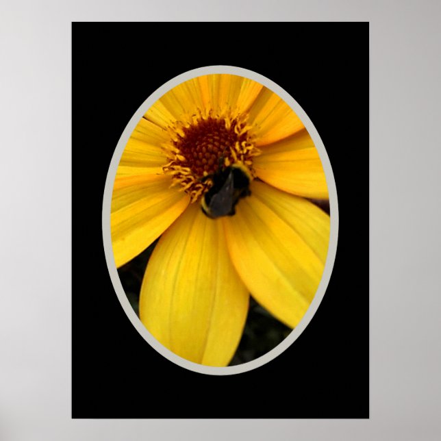Honungsbin på en gul blomma poster (Framsidan)