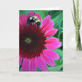 Honungsbin på kofflor, kort