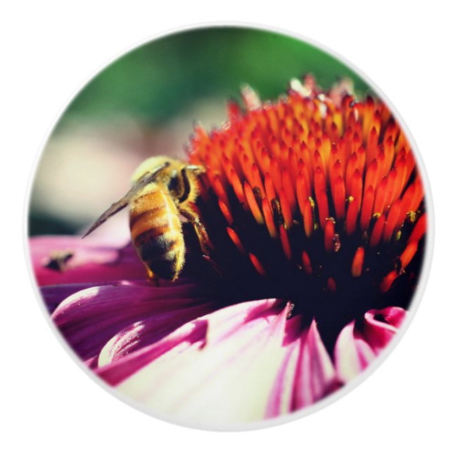 Honungsbin på konfekturen nära knopp (Framsidan)