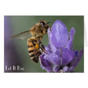 Honungsbin på Lavender Flower Photo Card Hälsningskort