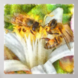 Honungsbin på Lemon Blommar Watercolor Art Poster