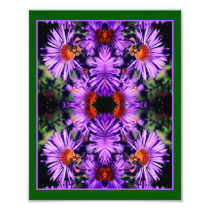 Honungsbin på Lila Aster Flower Abstrakt Fototryck