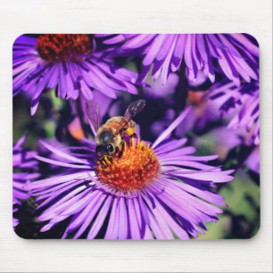 Honungsbin på Lila Aster Flower Musmatta