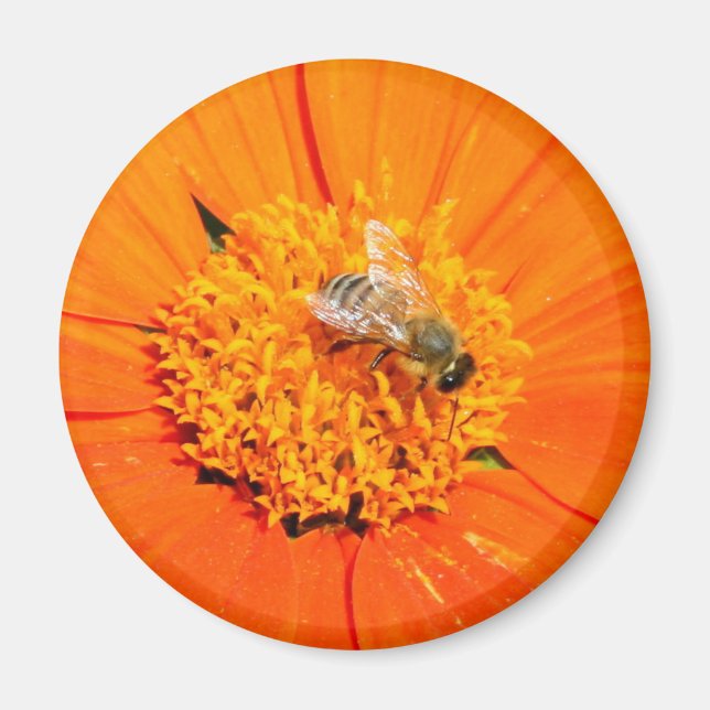 honungsbin på orange magnet (Framsidan)