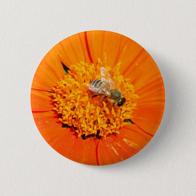 honungsbin på orangens blomknapp knapp (Framsida)