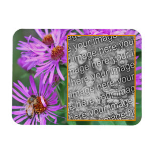 Honungsbin på Rosa Aster Flower lägg till foto Magnet