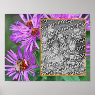 Honungsbin på Rosa Aster Flower lägg till foto Poster