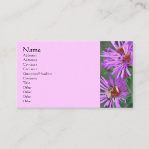 Honungsbin på Rosa Aster Flower Visitkort