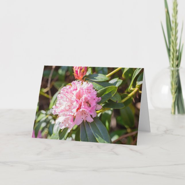 Honungsbin på Rosa Rhododendron Note Kort (Framsida)