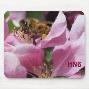 Honungsbin Pollination Rosa Crabapple Träd Blommar Musmatta