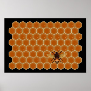 Honungsbin Poster