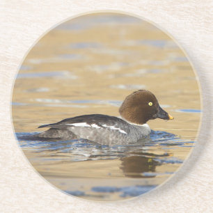 Honungssläktet Goldeneye anka Underlägg