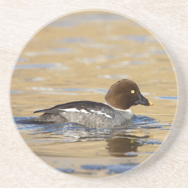 Honungssläktet Goldeneye anka Underlägg (Framsidan)