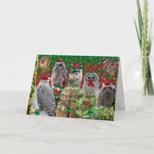 Hoo Hoo Hooo God jul Helgkort