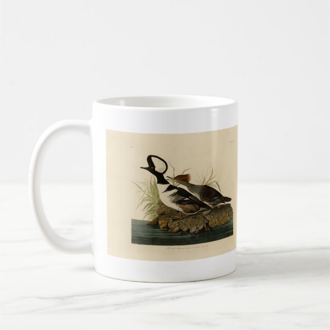 Hooded Merganser - från Audubon's Birds of America Kaffemugg (Vänster)