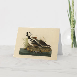 Hooded Merganser - från Audubon's Birds of America Kort