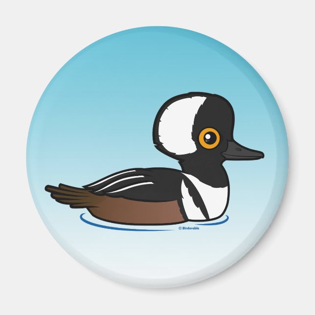 Hooded Merganser Magnet (Framsidan)