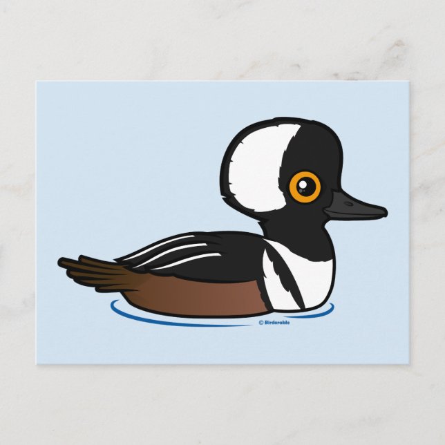 Hooded Merganser Vykort (Framsida)