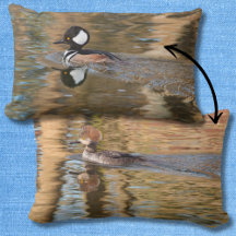 Hooded Mergansers Swimming på Bäck Scenia