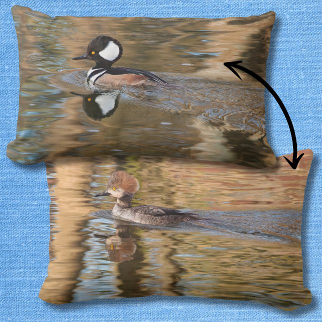 Hooded Mergansers Swimming på Bäck Scenia Lumbarkudde (Skapare uppladdad)