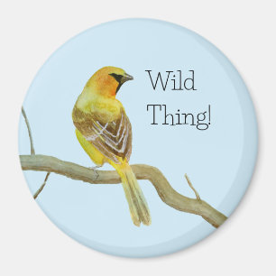Hooded Oriole Magnet