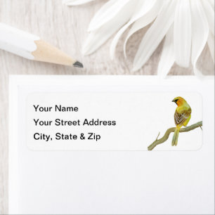 Hooded Oriole Returadress Etikett