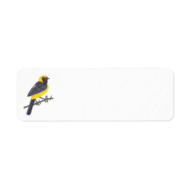 HOODED ORIOLE  RETURADRESS ETIKETT (Framsidan)