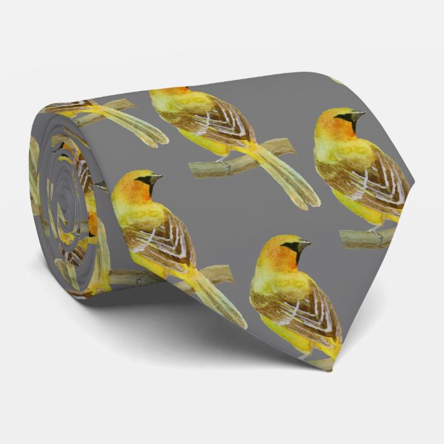 Hooded Oriole Slips (Rullad)