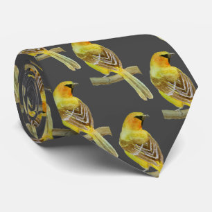 Hooded Oriole Slips