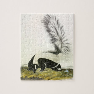 Hooded Skunk eller Large-tailed Skunk från Audubon Pussel