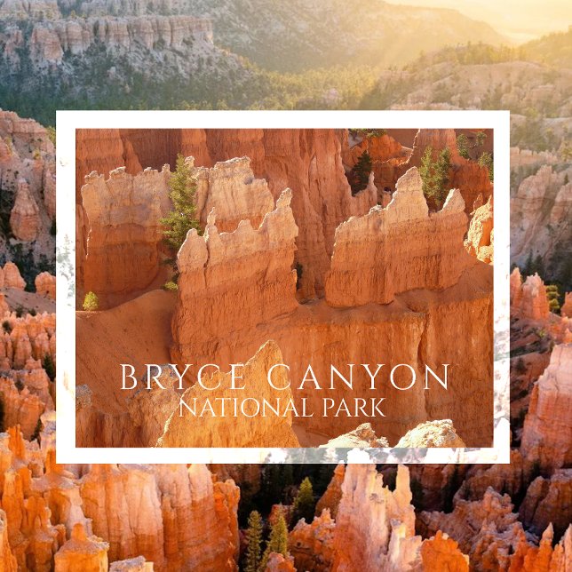 Hoodoos i Bryce Canyon National Park vykort (Skapare uppladdad)