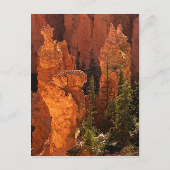 Hoodoos och Goblins Vykort (Framsida)