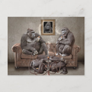 Hookah Smoking Apes-postkort Vykort