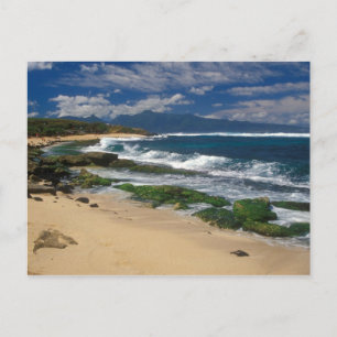 Hookipa Beach Maui Hawaii Vykort