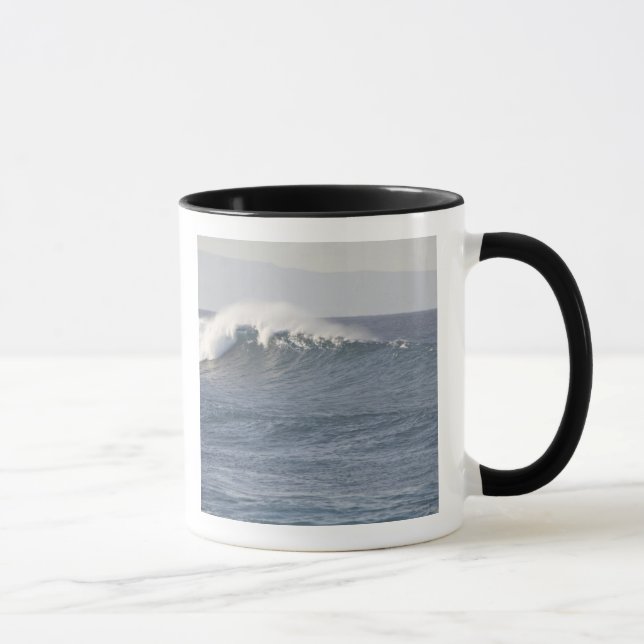 Hookipa Beach Park, norra kusten av Maui, Mugg (Höger)