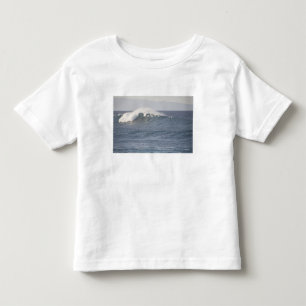 Hookipa Beach Park, norra kusten av Maui, Tee Shirt