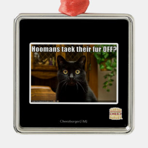 Hoomans Taek där päls AV? Julgransprydnad Metall