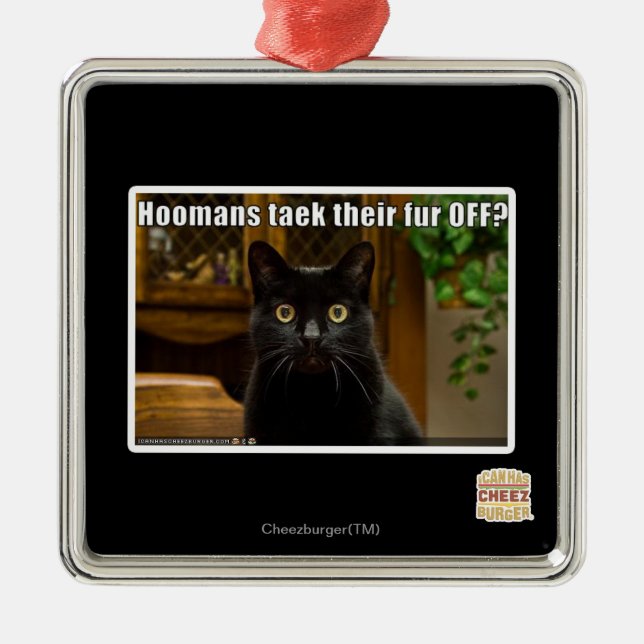 Hoomans Taek där päls AV? Julgransprydnad Metall (Framsidan)