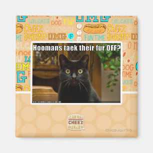 Hoomans Taek där päls OFF? Magnet