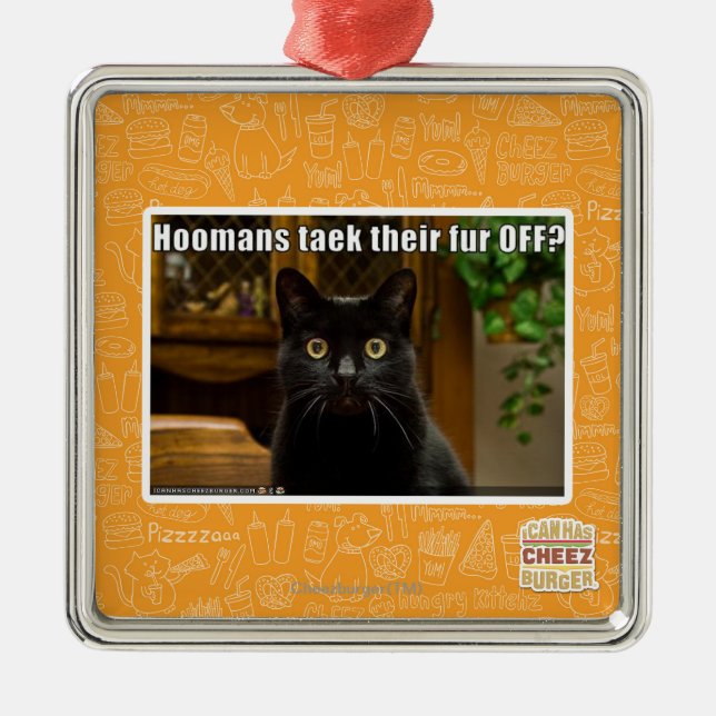 Hoomans Taek där pälsfodrar AV? Julgransprydnad Metall (Framsidan)