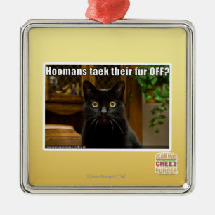 Hoomans Taek där pälsfodrar AV? Julgransprydnad Metall