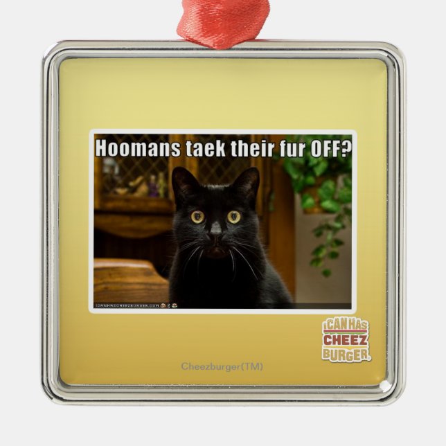 Hoomans Taek där pälsfodrar AV? Julgransprydnad Metall (Framsidan)