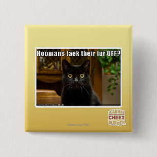 Hoomans Taek där pälsfodrar AV? Knapp