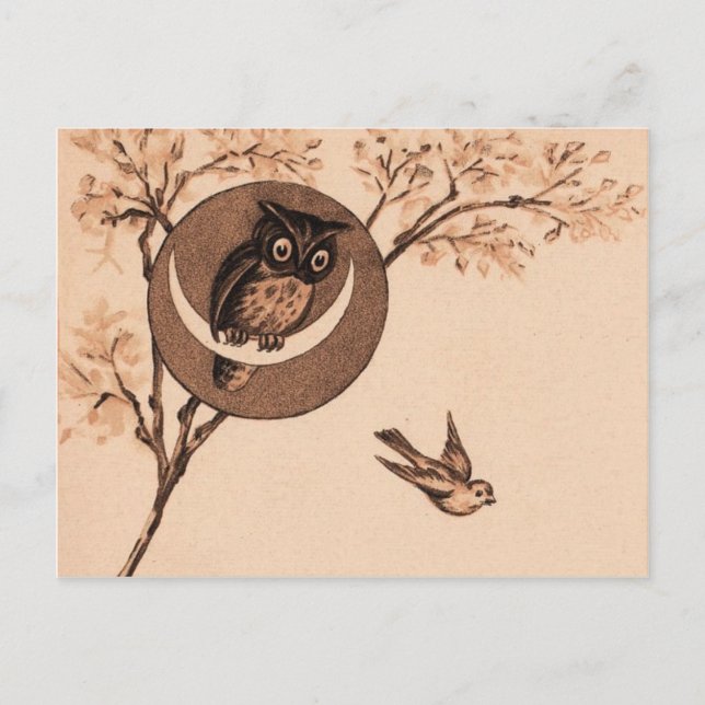 Hoooot! Vykort (Framsida)