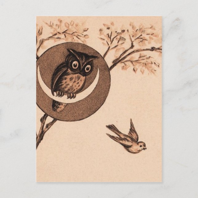 Hoooot! Vykort (Framsida)